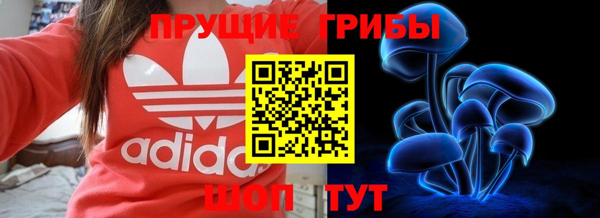 Галлюциногенные грибы Magic Shrooms  Вход с VPN  Псилоцибиновые грибы Magic Shrooms  Кудрово 